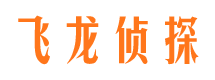 元江市侦探调查公司